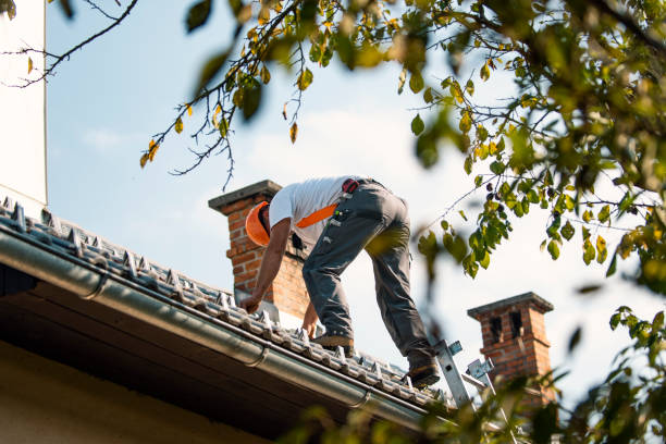 Best Sealant for Roof  in Twain Harte, CA