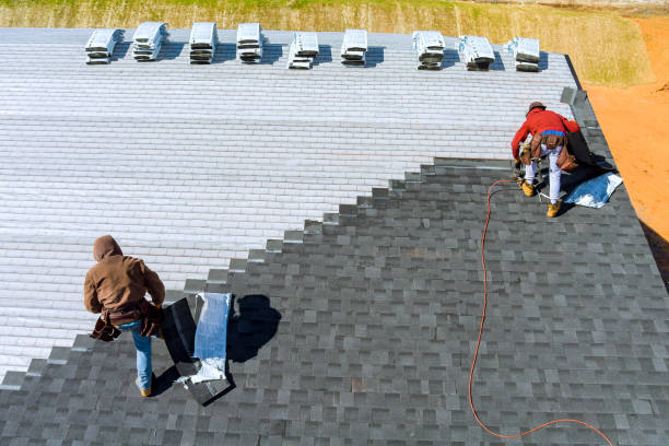 Best Roof Gutter Cleaning  in Twain Harte, CA